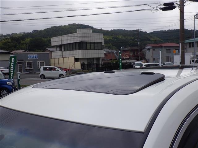 Nissan ELGRAND 2013 8194305-19