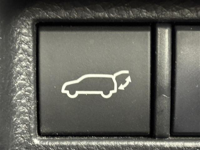 Toyota HARRIER 2021 8195292-5
