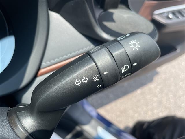 Toyota HARRIER 2021 8195349-9