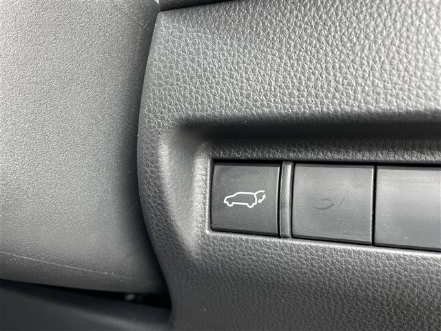 Toyota HARRIER 2023 8195463-21