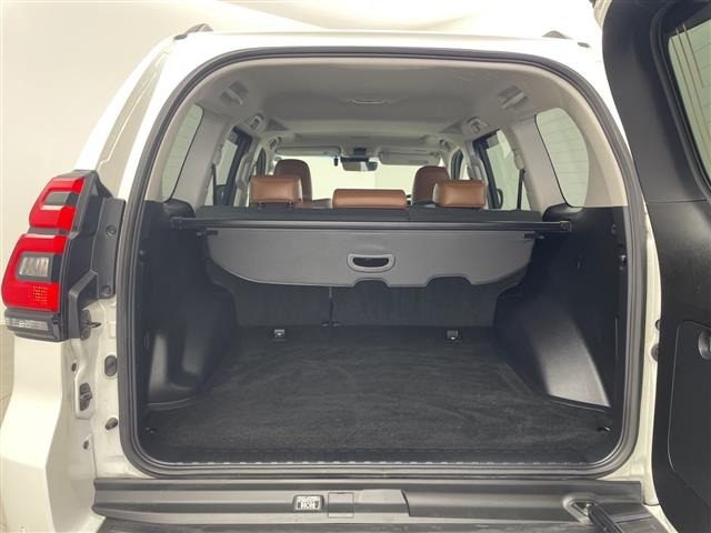 Toyota LAND CRUISER PRADO 2021 8211390-21