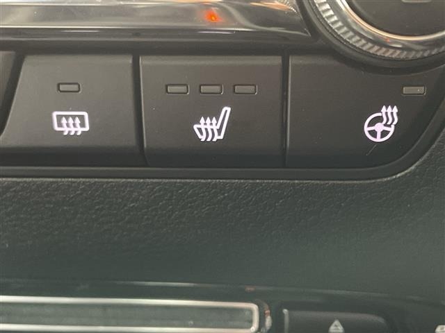 Mazda MAZDA3 2019 8195001-18