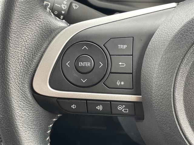 Toyota RAIZE 2019 8193951-7