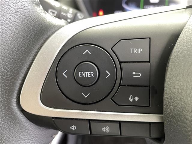 Toyota RAIZE 2019 8194037-3