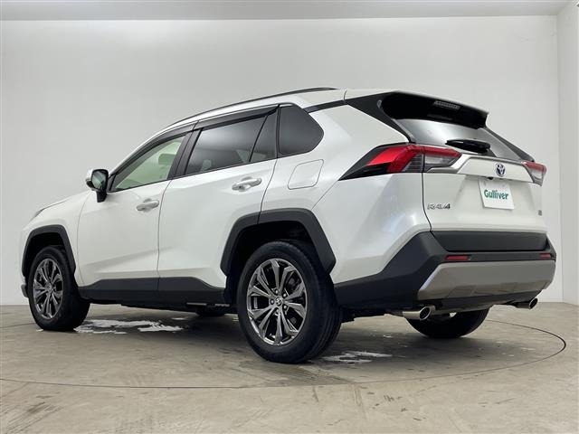 Toyota RAV4 2022 8201018-13