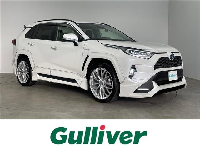 Toyota RAV4 2019 8201028-0
