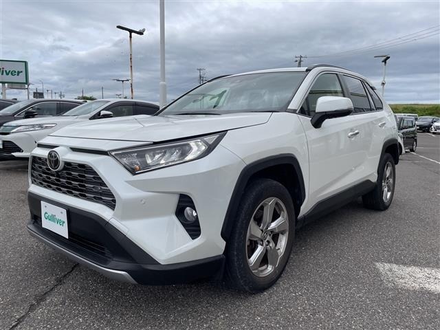 Toyota RAV4 2021 8201031-3