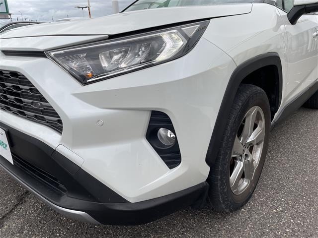 Toyota RAV4 2021 8201031-5