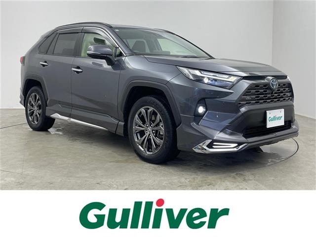 Toyota RAV4 2022 8201073-0