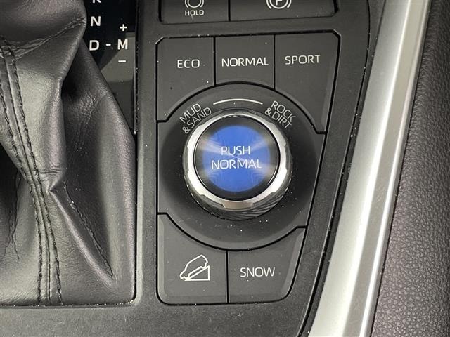 Toyota RAV4 2020 8201239-8