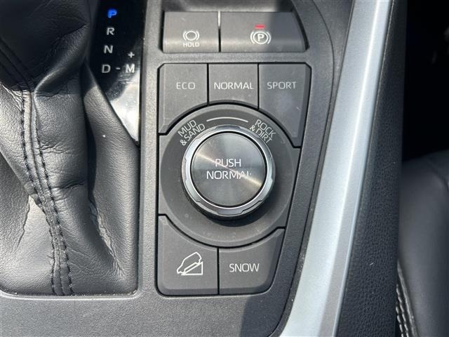 Toyota RAV4 2021 8201269-8