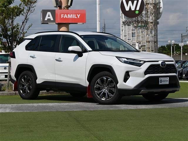 Toyota RAV4 2024 8201291-0