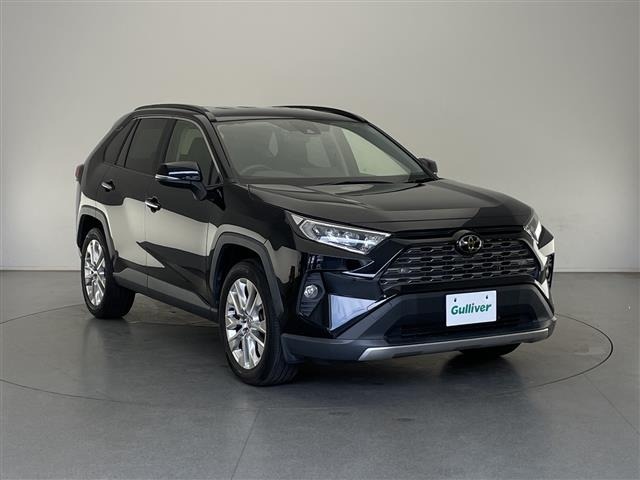 Toyota RAV4 2019 8201303-0