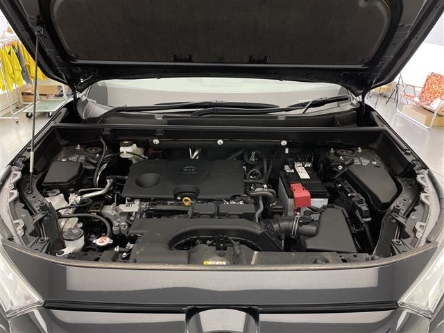 Toyota RAV4 2019 8201303-16