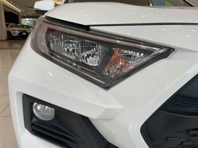 Toyota RAV4 2021 8201422-12