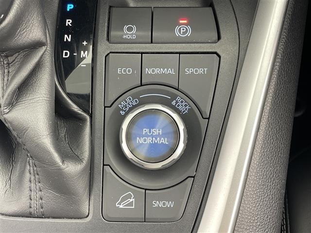 Toyota RAV4 2021 8201481-2