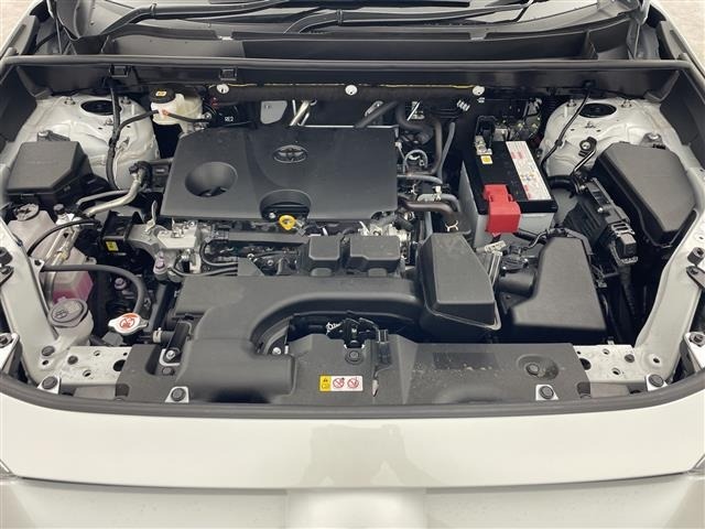 Toyota RAV4 2024 8201501-21
