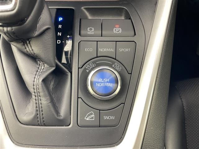 Toyota RAV4 2024 8201501-4