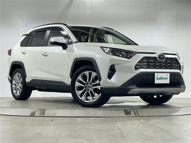 Toyota RAV4 2019 8201524-0
