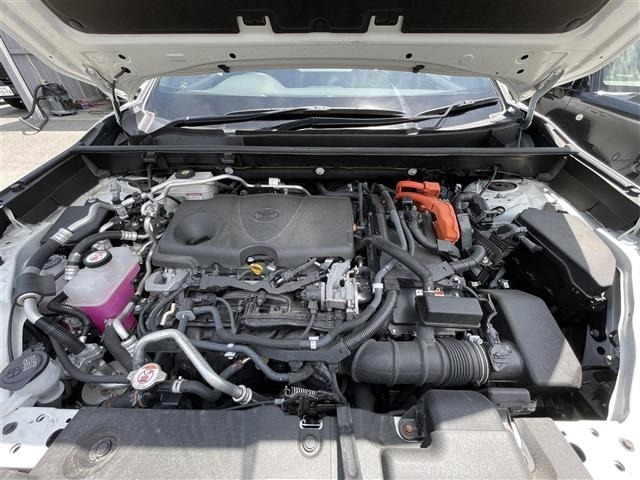 Toyota RAV4 2021 8201591-5