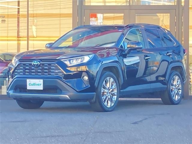 Toyota RAV4 2020 8201643-22