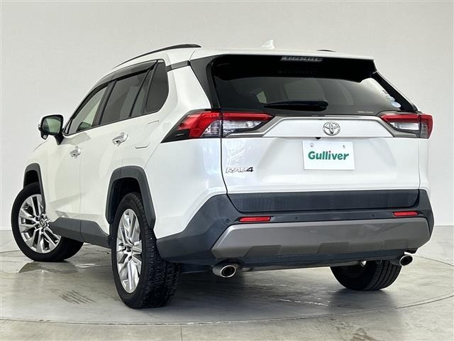 Toyota RAV4 2019 8201738-13