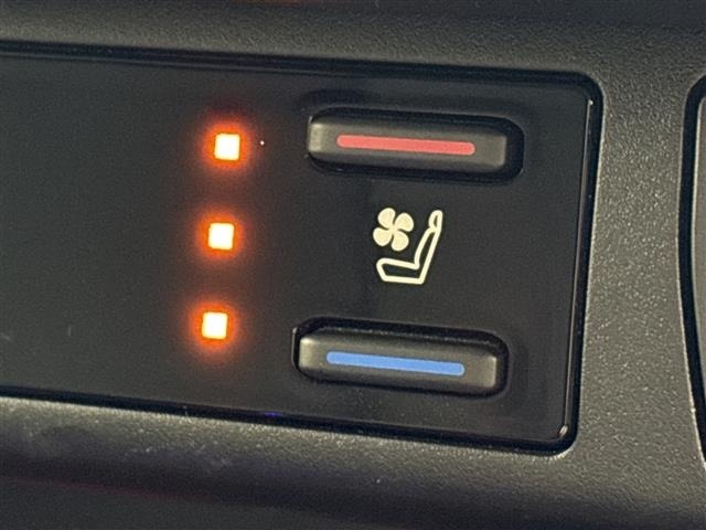 Toyota RAV4 2023 8201756-8
