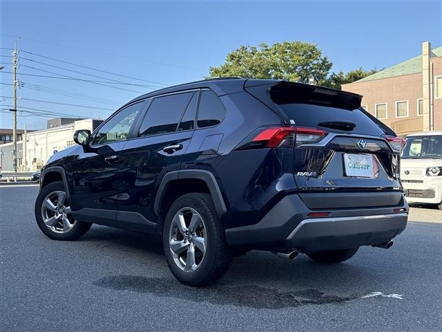 Toyota RAV4 2020 8201786-13