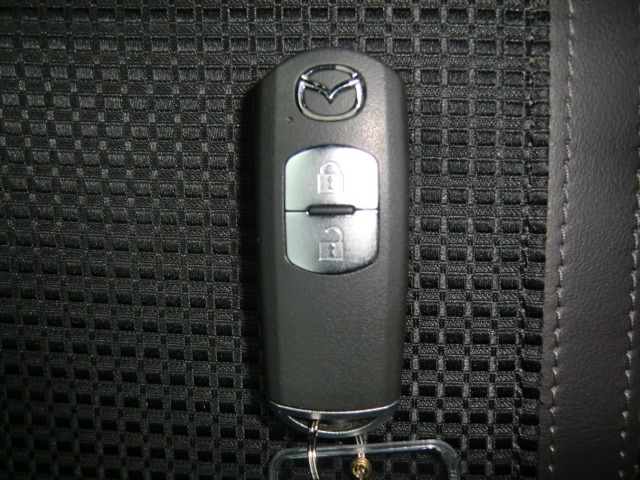 Mazda AXELA 2017 8235745-9