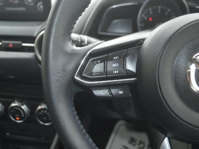 Mazda MAZDA2 2019 8236030-10