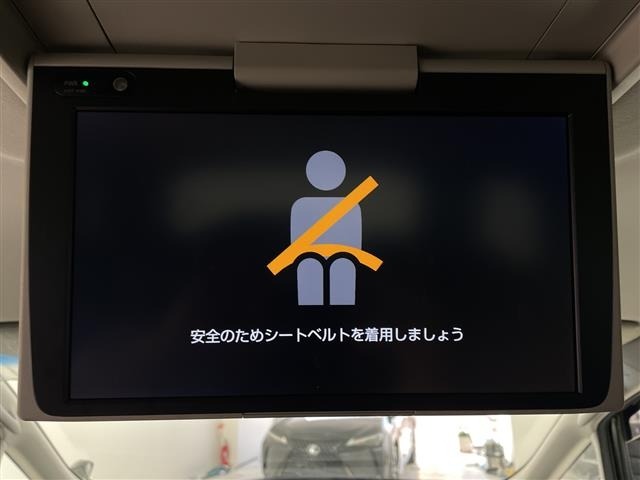 Toyota VELLFIRE 2019 8233246-17