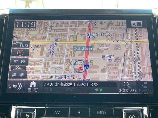 Toyota VELLFIRE 2019 8233368-16