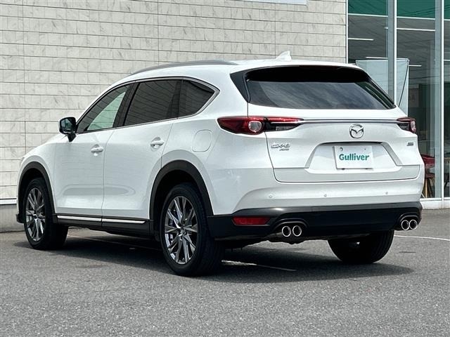 Mazda CX-8 2019 8239799-13