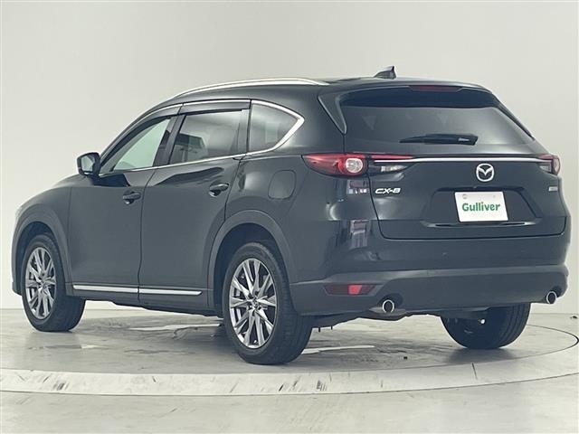 Mazda CX-8 2018 8239810-13