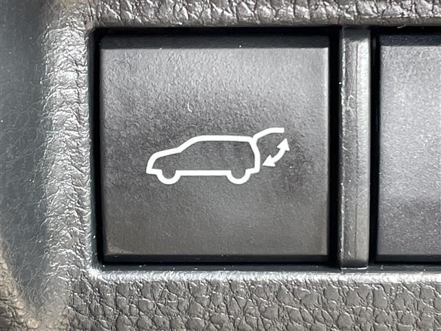 Toyota HARRIER 2020 8242776-6