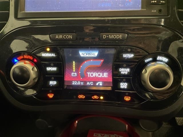 Nissan JUKE 2013 8244023-4