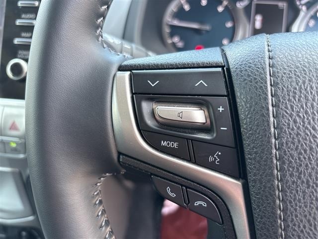 Toyota LAND CRUISER PRADO 2022 8247582-20