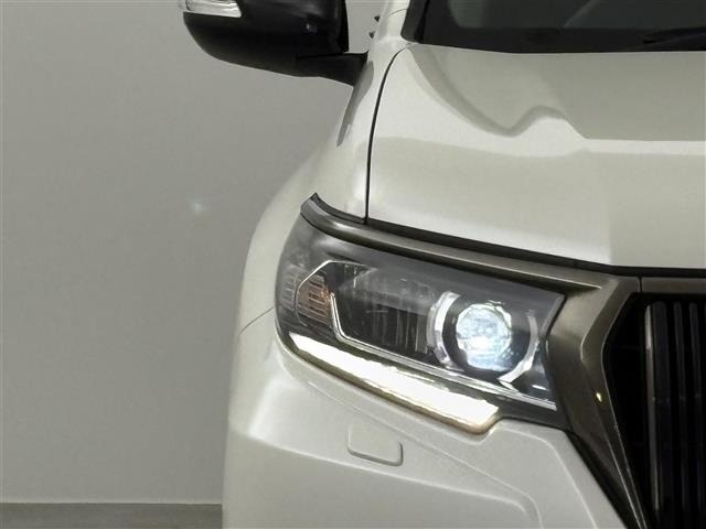 Toyota LAND CRUISER PRADO 2021 8247626-20