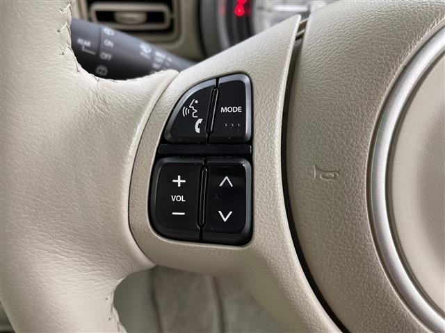 Suzuki LAPIN 2015 8239695-7