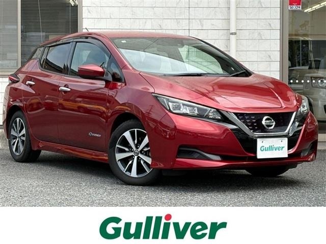 Nissan LEAF 2019 8237756-0