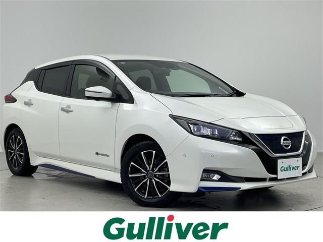 Nissan LEAF 2017 8237757-0