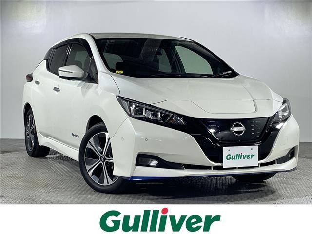Nissan LEAF 2021 8237759-0