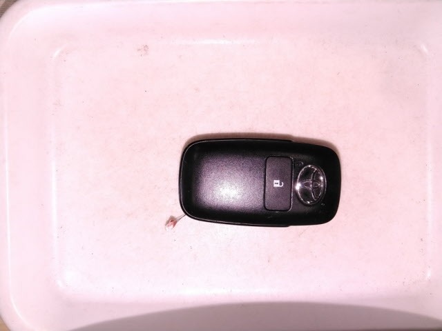 Toyota RAIZE 2020 8239969-10