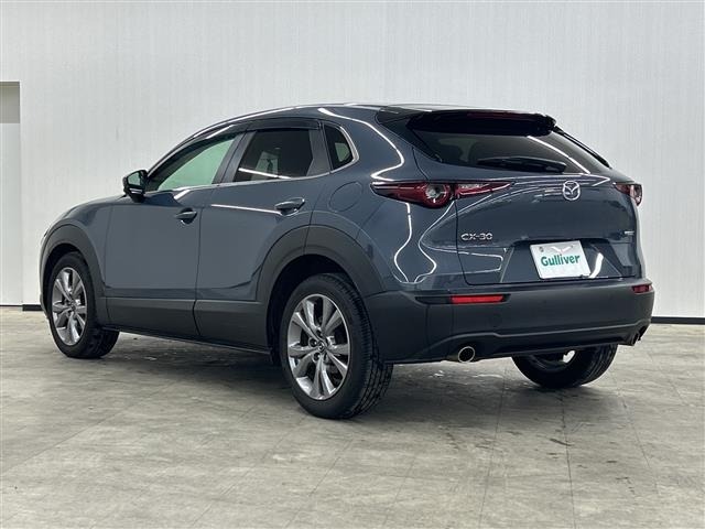 Mazda CX-30 2021 8251810-13