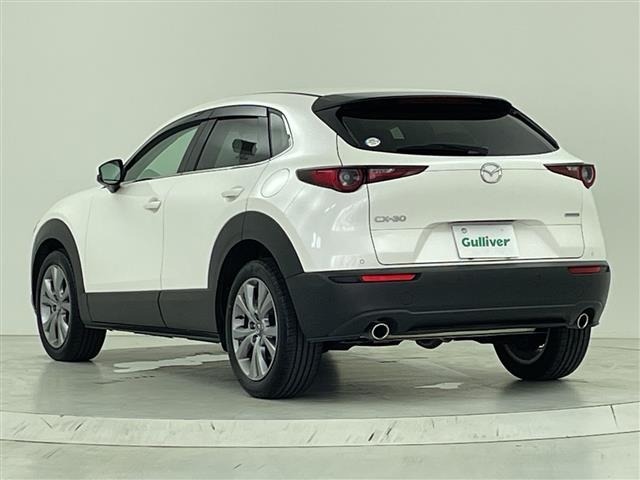 Mazda CX-30 2023 8251929-13