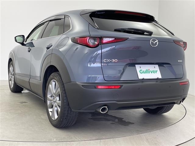 Mazda CX-30 2021 8251952-13