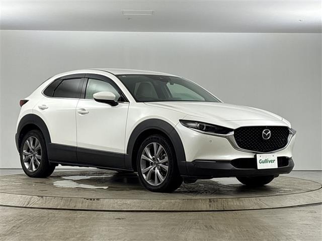Mazda CX-30 2019 8251980-0