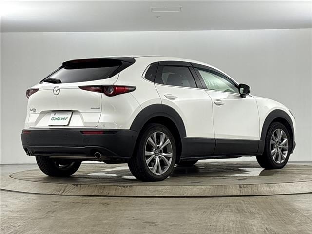 Mazda CX-30 2019 8251980-11