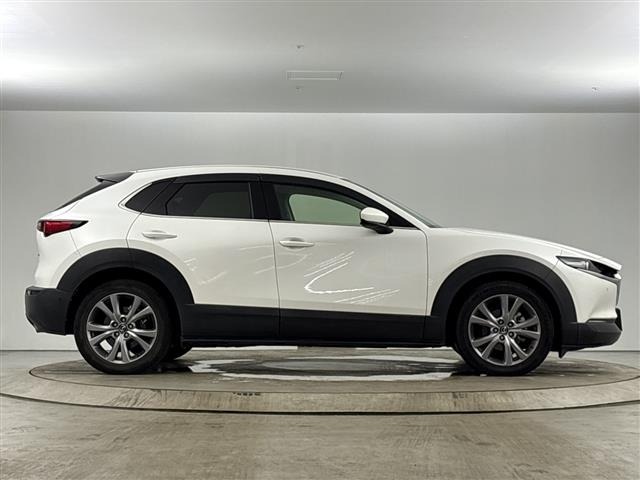 Mazda CX-30 2019 8251980-12