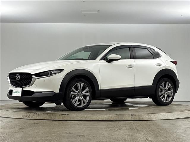Mazda CX-30 2019 8251980-7